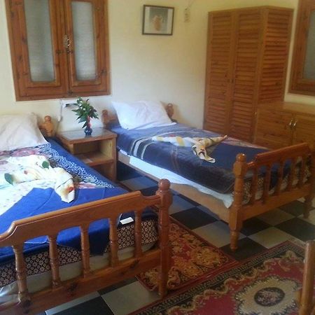 Amon Hotel Luxor Bagian luar foto