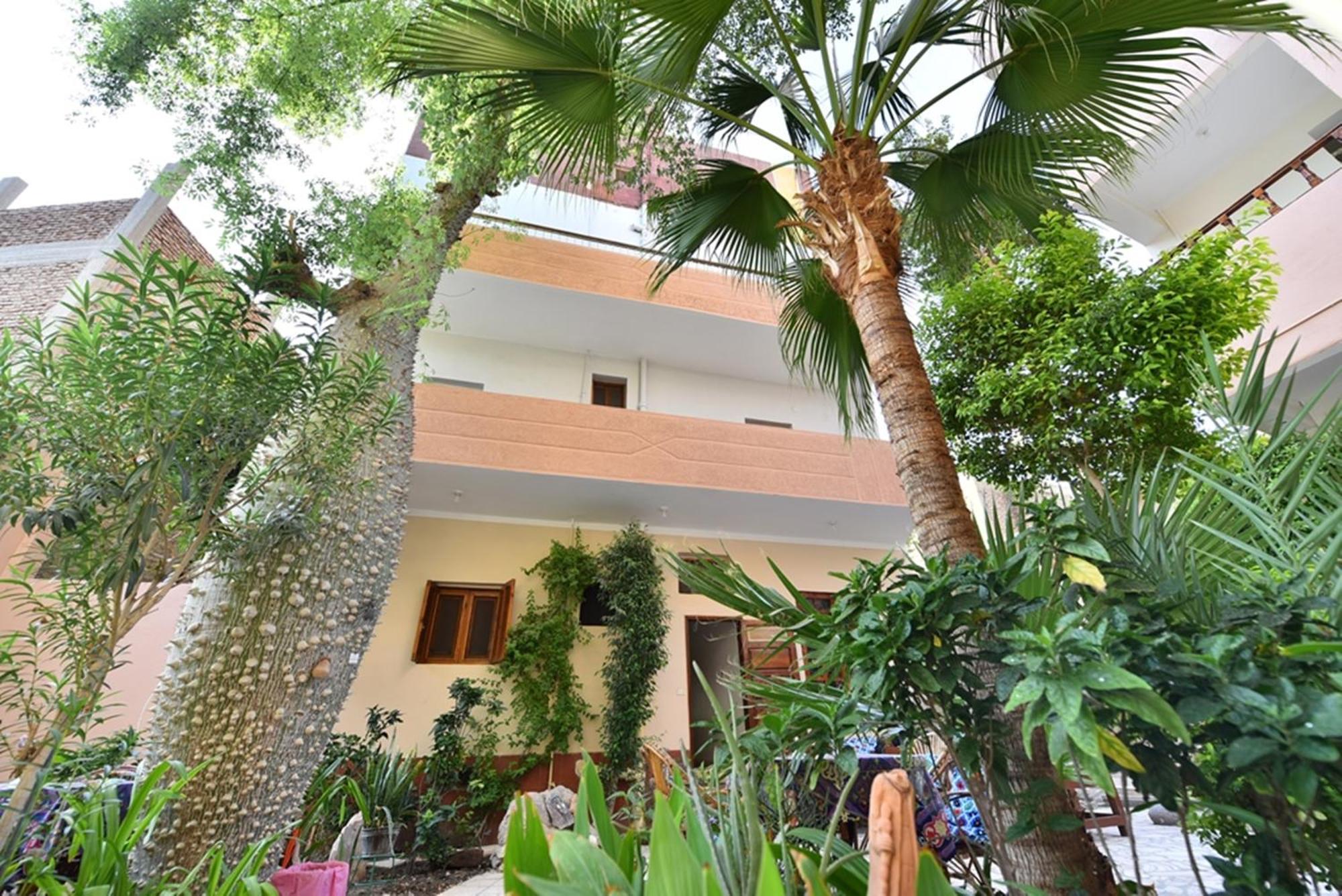 Amon Hotel Luxor Bagian luar foto