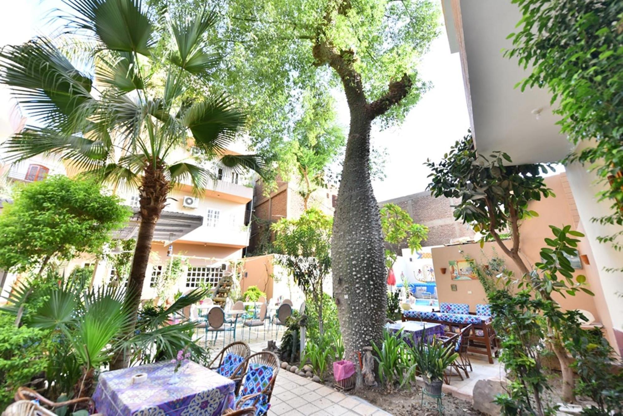 Amon Hotel Luxor Bagian luar foto