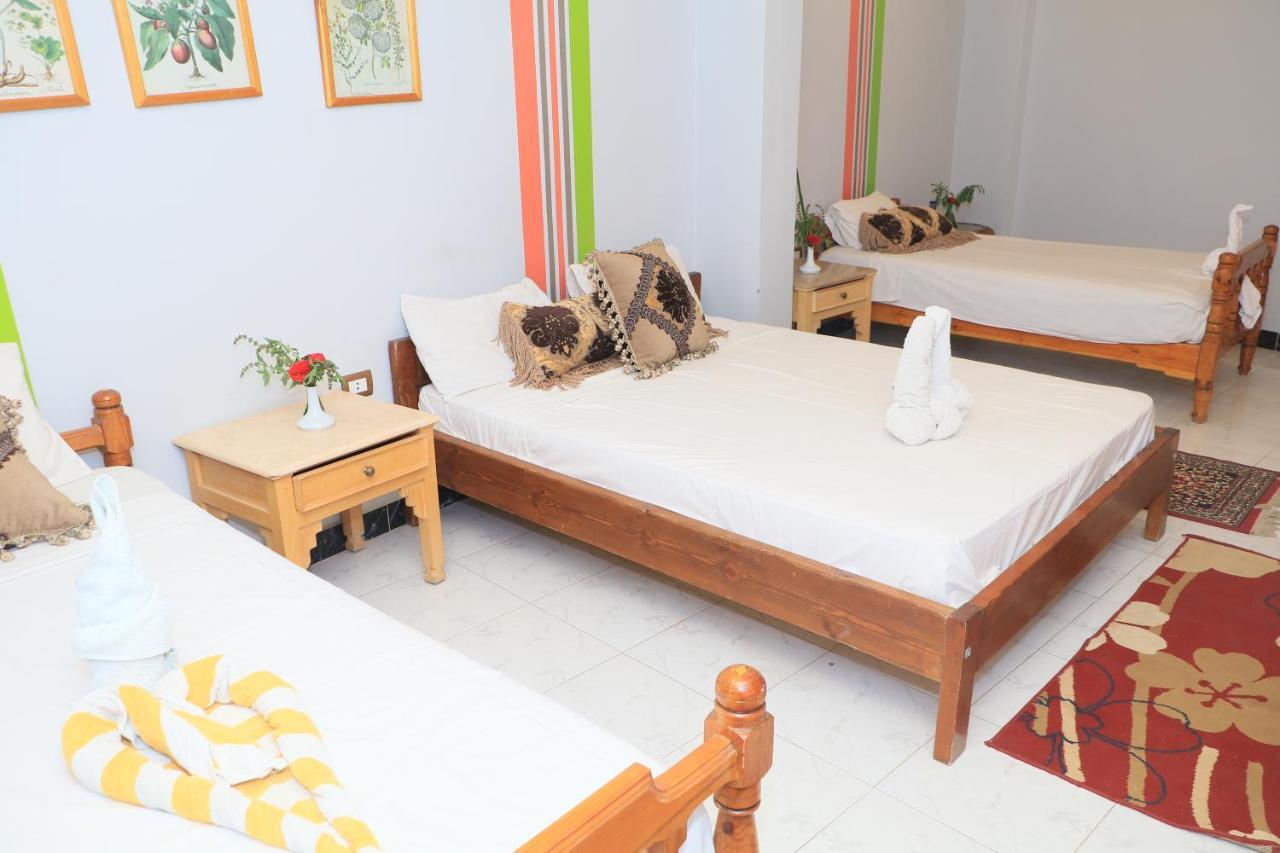 Amon Hotel Luxor Bagian luar foto